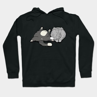 Cat and Furious Hoodie